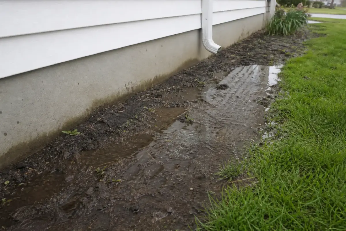 Standing water in soil beside a house foundation